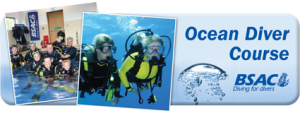 Ocean Diver Course