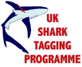 uk-shark-tagging