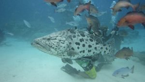 IMG_0260.JPG