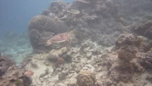 IMG_0527.JPG
