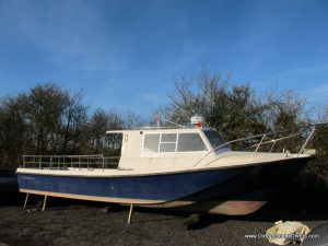 IMG_1306.JPG