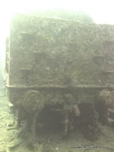 red-sea-diving_010212_0238.jpg