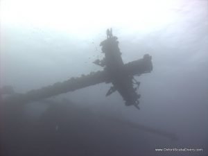 red-sea-diving_310112_0295.jpg