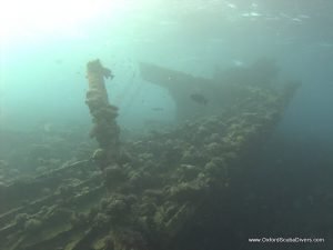 red-sea-diving_310112_0309.jpg
