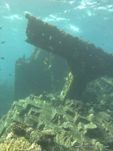 red-sea-diving_310112_0310.jpg