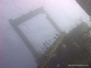 red-sea-diving_310112_0322.jpg