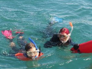 Snorkellers getting back to the boat