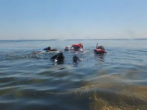Kimmeridge 025
