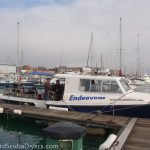 Endeavour on her mooring