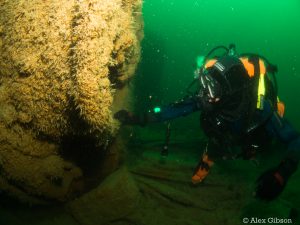 Diver on a wreck