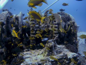 Winching gear on wreck of the Thistlegorm (Red Sea/Howard Thomas)