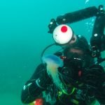 Jellyfish/underwater photographer (Chesil Cove, Dorset/Kasia Hallet)