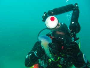 Jellyfish/underwater photographer (Chesil Cove, Dorset/Kasia Hallet)