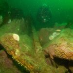 Anchor at Eddystone lighthouse